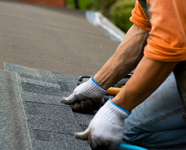 Best Roof Gutter Cleaning  in Kemmerer, WY